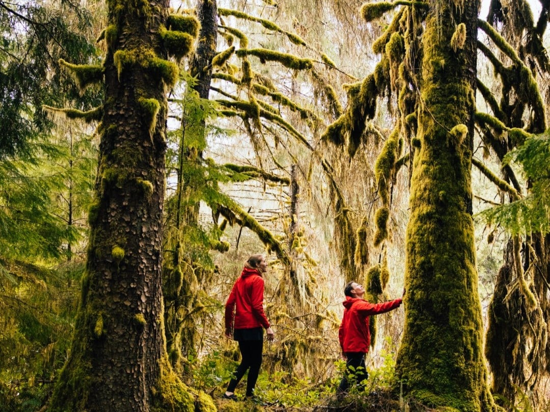 Full Width Imag5