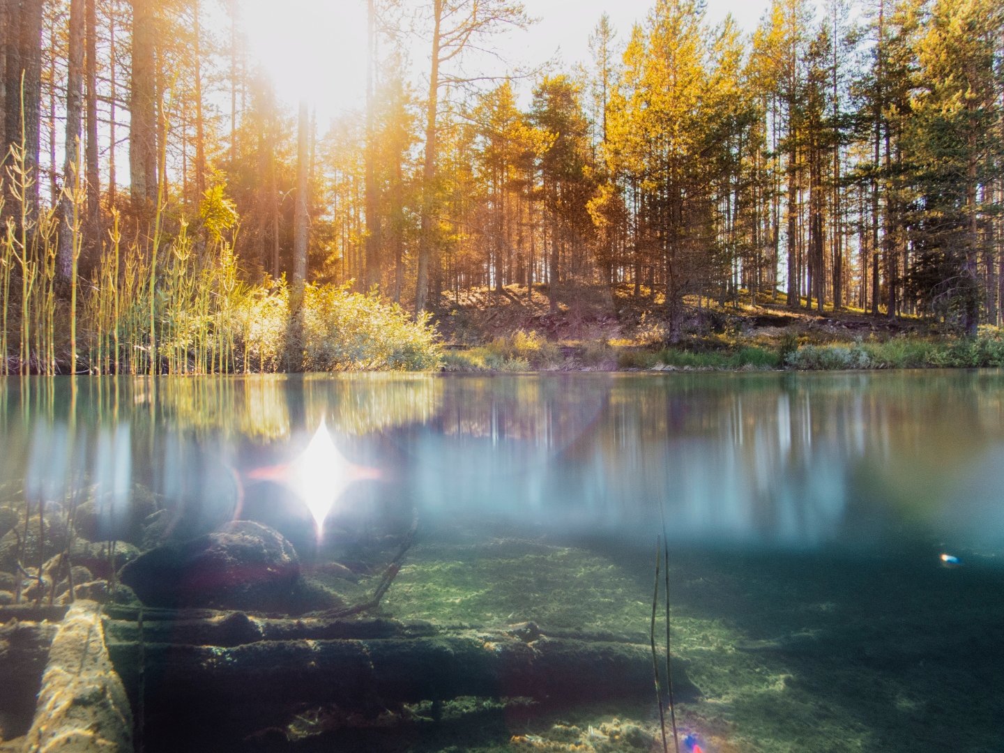 Slider Image