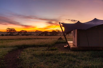 Image related to HOW SUSTAINABLE TRAVEL IS ACTUALLY CHANGING GUEST EXPERIENCE 