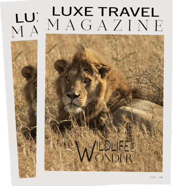  Wildlife and Wonder