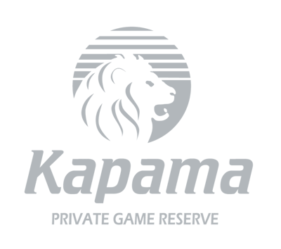 Kapama River Lodge
