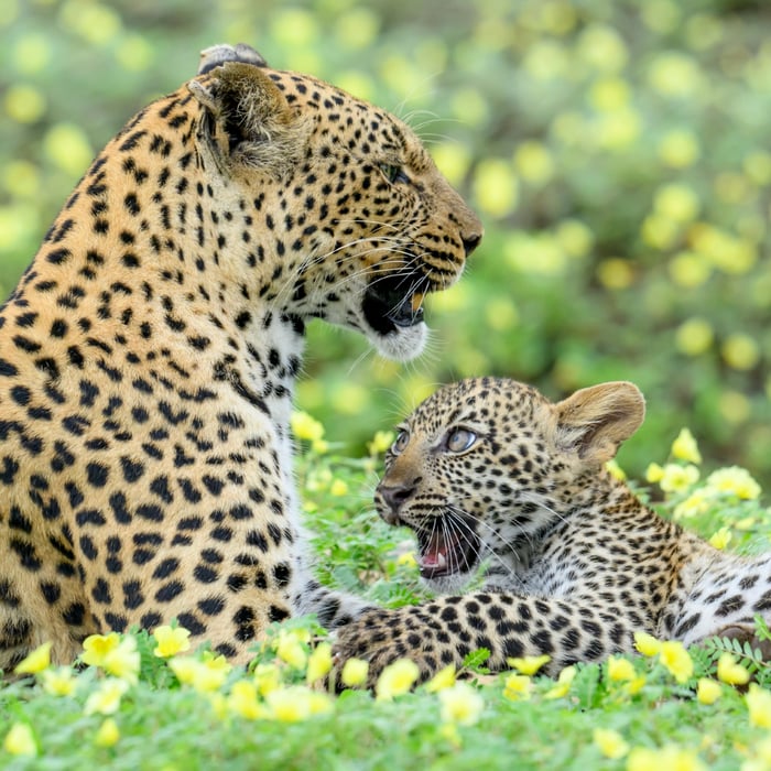 Image-Gallery-31