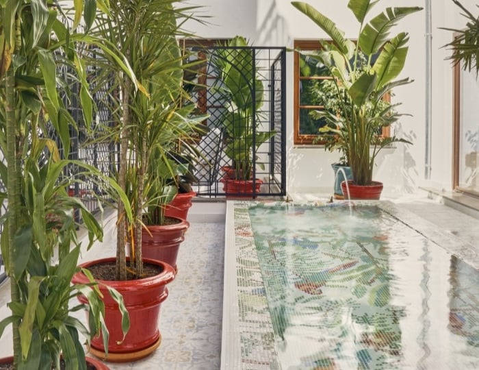 Image-Gallery-11