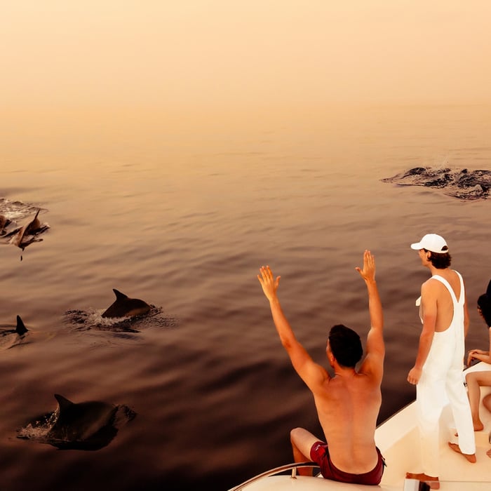 Image-Gallery-12