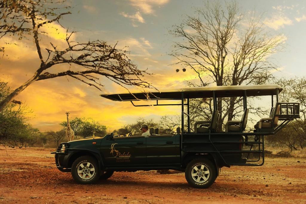 WILDERNESS MEETS LUXURY: PALALA BOUTIQUE GAME LODGE JOINS THE LUXE GLOBAL NETWORK